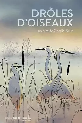 豆子影视